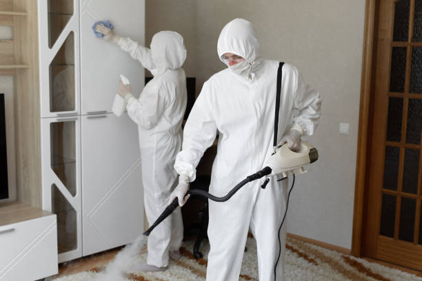Best Post-Remediation Services in March Ar, CA