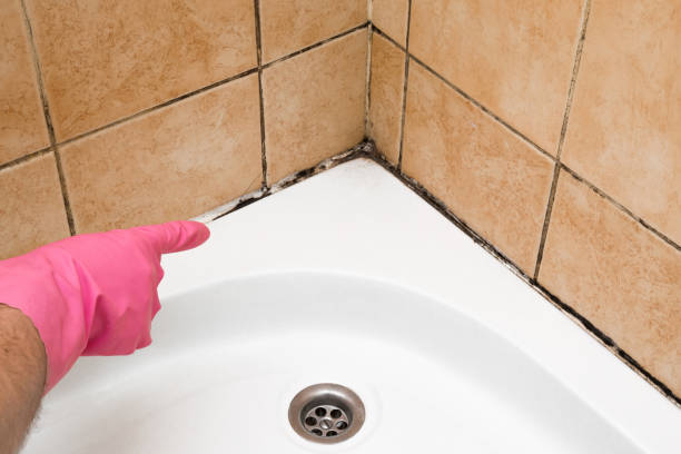  March Ar, CA Mold Removal Pros